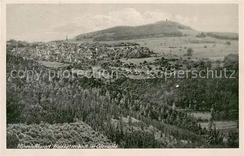 AK / Ansichtskarte Waldkatzenbach Panorama Odenwald Waldkatzenbach