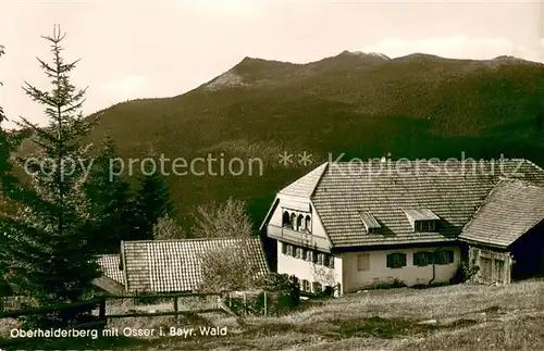 AK / Ansichtskarte Oberhaiderberg Pension Pfeffer mit Blick zum Osser Bayerischer Wald Oberhaiderberg
