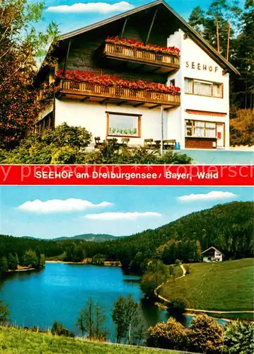 AK / Ansichtskarte Rothau_Dreiburgensee Pension Restaurant Seehof Bayerischer Wald 