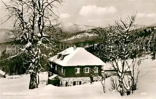AK / Ansichtskarte Waldhaeuser_Neuschoenau Pension Lindenhof Waldhaeuser Neuschoenau