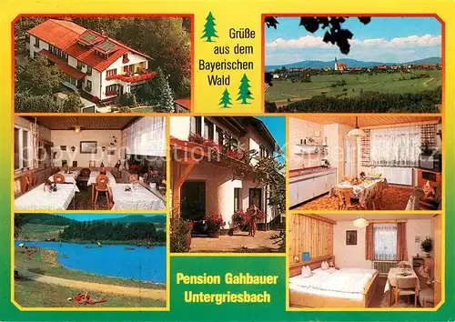 AK / Ansichtskarte Untergriesbach_Niederbayern Pension Gahbauer Gastraum Fremdenzimmer Landschaftspanorama See Untergriesbach