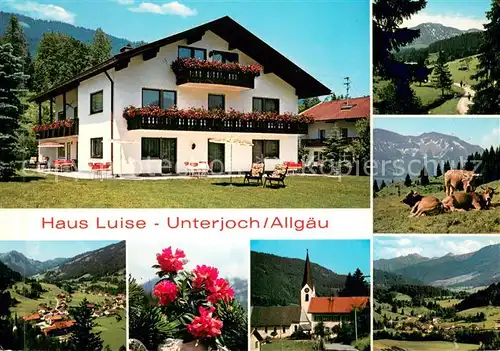AK / Ansichtskarte Unterjoch Gaestehaus Pension Haus Luise Landschaftspanorama Allgaeuer Alpen Almvieh Kuehe Kirche Alpenflora Unterjoch