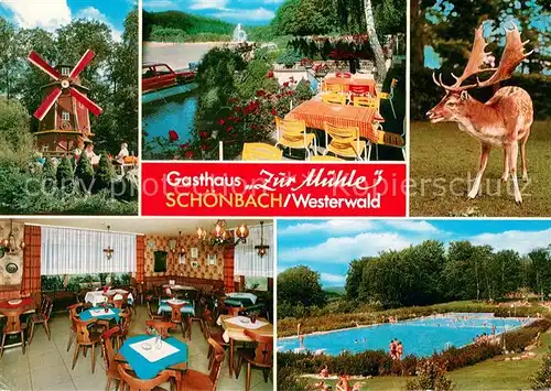 AK / Ansichtskarte Schoenbach_Dillkreis Gasthaus Zur Muehle im Westerwald Restaurant Terrasse Freibad Hirsch Schoenbach Dillkreis