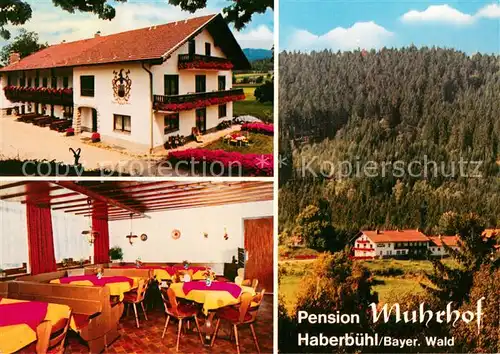 AK / Ansichtskarte Haberbuehl Pension Muhrhof Gaststube  Haberbuehl