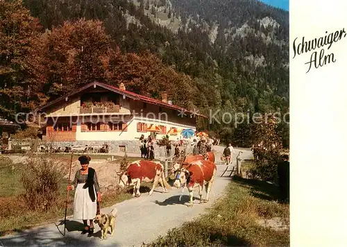 AK / Ansichtskarte Kreuth_Tegernsee Ausflugsgaststaette Cafe Schwaigeralm Kreuth Tegernsee