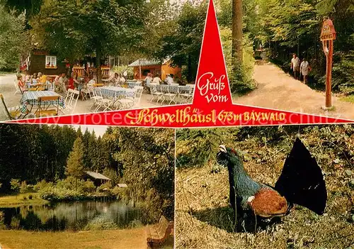 AK / Ansichtskarte Zwiesel_Niederbayern Gaststaette Cafe Schwellhaeusl Terrasse Teich Auerhahn Zwiesel Niederbayern