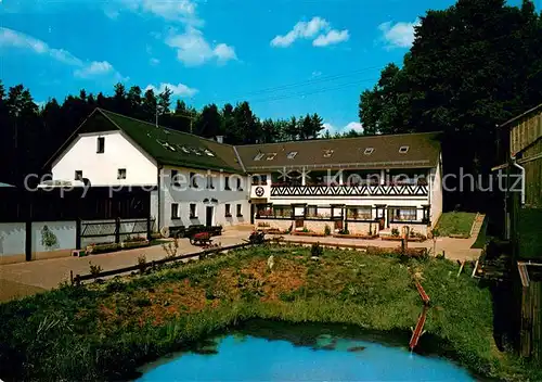 AK / Ansichtskarte Juliushammer_Wunsiedel Ferienhof Juliushammer Teich 