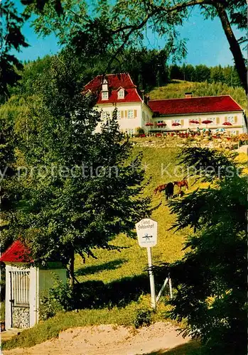 AK / Ansichtskarte Obernzell Sporthotel Fohlenhof Terrassencafe Tessiner Keller Obernzell