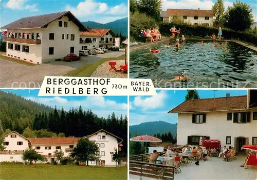 AK / Ansichtskarte Wald_Oberried Pension Riedlberg am Fusse des Arber Bayerischer Wald Terrasse Swimming Pool Wald Oberried