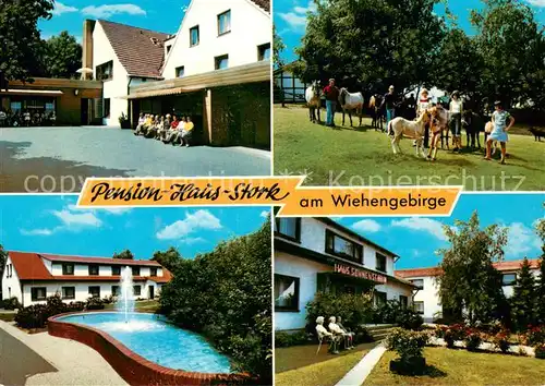 AK / Ansichtskarte Bad_Holzhausen_Luebbecke Pension Haus Stork am Wiehengebirge Ponys Bad_Holzhausen_Luebbecke