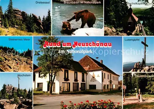 AK / Ansichtskarte Neuschoenau Dreisessel Braunbaeren im Nationalpark Rachelkapelle Steinernes Meer Hochstein Luisengipfel Gasthof Pension Euler Neuschoenau