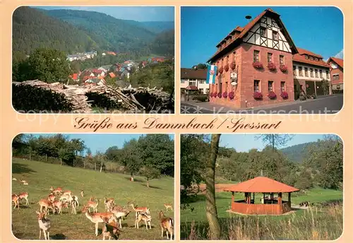 AK / Ansichtskarte Dammbach Panorama Gasthaus Wildgehege Pavillon Dammbach