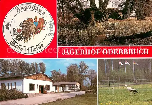 AK / Ansichtskarte Liepe_Jueterbog Jaegerhof Oderbruch Storch Uferboeschung Liepe Jueterbog