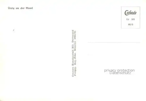 AK / Ansichtskarte uerzig Moselpartie Fliegeraufnahme uerzig
