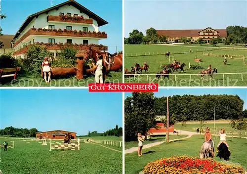AK / Ansichtskarte Kronberg_Hoeslwang Gut Kronberg Reitplatz Springreiter Ponys Kronberg Hoeslwang