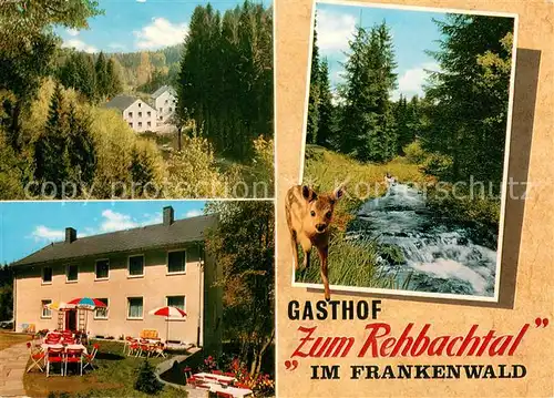 AK / Ansichtskarte Grafengehaig Gasthof zum Rehbachtal Terrasse Waldidyll mit Reh Grafengehaig