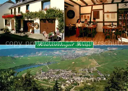 AK / Ansichtskarte Minheim Ferienweingut Ferres Panorama Blick ins Moseltal Minheim