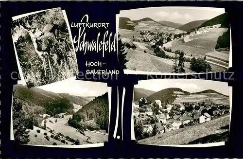 AK / Ansichtskarte Schwalefeld Teilansichten Reh Schwalefeld