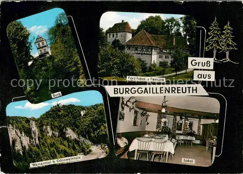 AK / Ansichtskarte Burggaillenreuth_Oberfranken Restaurant Forsthaus Burggaillenreuth Burg Weisenttal Lokal Burggaillenreuth