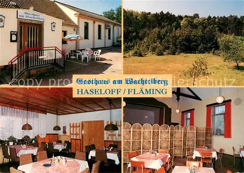 AK / Ansichtskarte Haseloff Gasthaus am Wachtelberg Gastraeume Park Haseloff