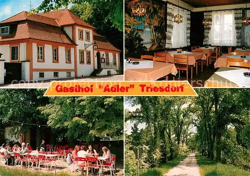 AK / Ansichtskarte Triesdorf Gasthof Adler Gaststube Terrasse Waldweg Triesdorf