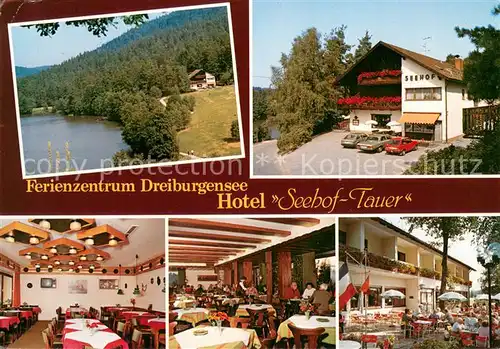 AK / Ansichtskarte Rothau_Dreiburgensee Ferienzentrum Dreiburgensee Hotel Seehof Tauer Restaurant Terrasse 