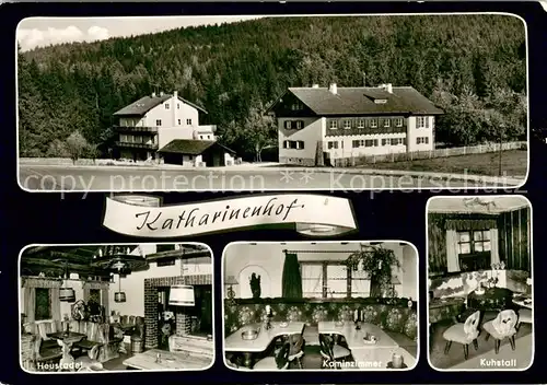 AK / Ansichtskarte Treffelstein Hotel Restaurant Cafe Katharinenhof Treffelstein