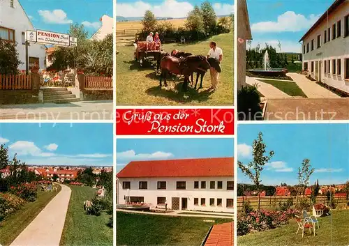 AK / Ansichtskarte Bad_Holzhausen_Luebbecke Pension Haus Stork am Wiehengebirge Ponywagen Bad_Holzhausen_Luebbecke