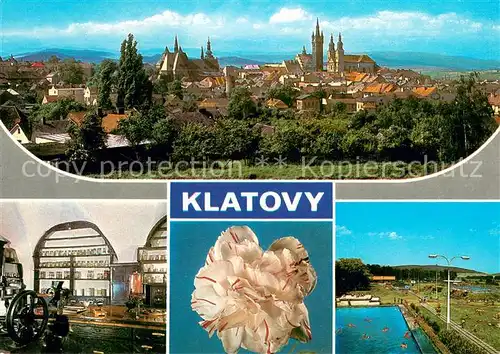 AK / Ansichtskarte Klatovy Mesto v sumavskem prdhuri zname pestovanim karafiatu Klatovy