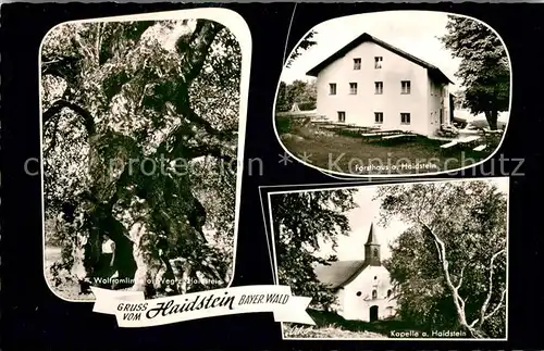 AK / Ansichtskarte Haidstein Wolframlinde Forsthaus und Kapelle am Haidstein Haidstein