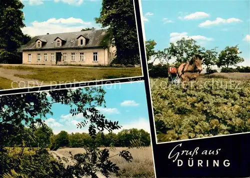 AK / Ansichtskarte Duering Bauernhaus Panorama Pfluegen mit Pferd Duering