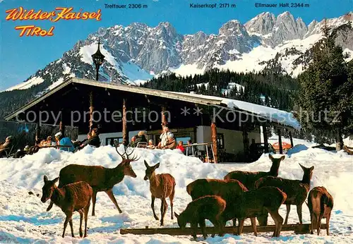 AK / Ansichtskarte Ellmau_Tirol Wochenbrunner Alm mit Wildpark Ellmau Tirol