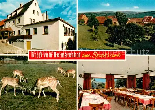 AK / Ansichtskarte Heimbuchenthal Gasthaus Pension Heimatenhof Gastraum Rotwild Heimbuchenthal