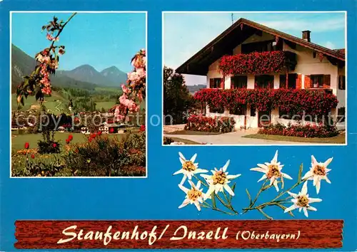 AK / Ansichtskarte Inzell Gaestehaus Pension Staufenhof Landschaftspanorama Alpen Edelweiss Inzell