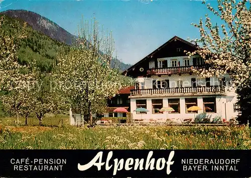 AK / Ansichtskarte Niederaudorf Cafe Pension Alpenhof Niederaudorf