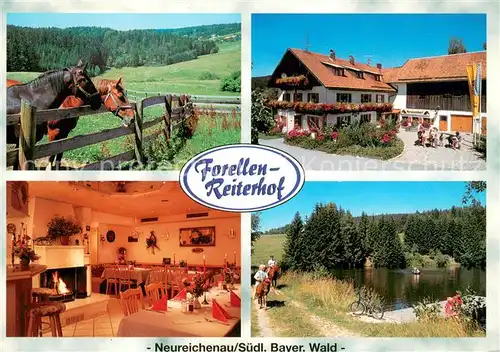 AK / Ansichtskarte Neureichenau Forellen Reiterhof Fam Schanzer Gaststube Weiher Neureichenau