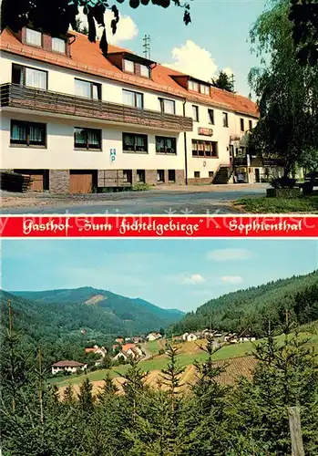 AK / Ansichtskarte Sophienthal_Oberfranken Gasthof Zum Fichtelgebirge Panorama Sophienthal Oberfranken