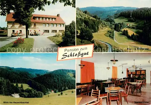 AK / Ansichtskarte Schlopp Gasthaus Pension Schlossgut Gaststube Steinachtal Rauschbachtal Schlopp