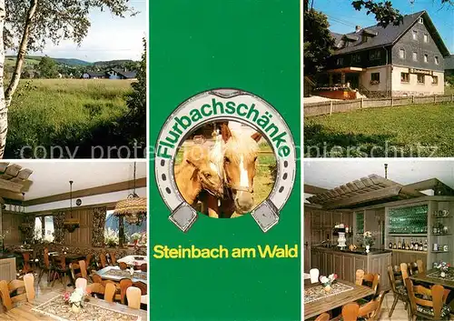 AK / Ansichtskarte Steinbach_Kronach Flurbachschaenke Gaststube Theke Panorama Steinbach Kronach
