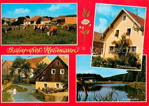 AK / Ansichtskarte Friedersreuth Rinderherde Bauernhaus Ferienhaus Badeweiher Friedersreuth