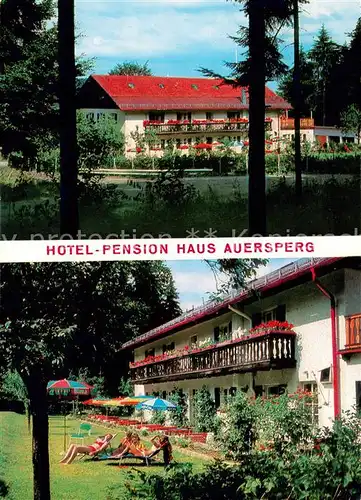 AK / Ansichtskarte Haidmuehle Hotel Pension Haus Auersperg Terrasse Haidmuehle