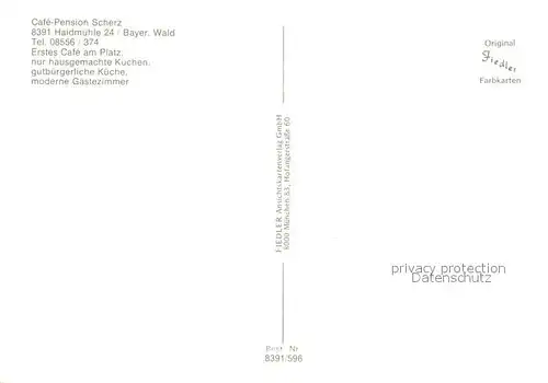 AK / Ansichtskarte Haidmuehle Cafe Pension Scherz Haidmuehle