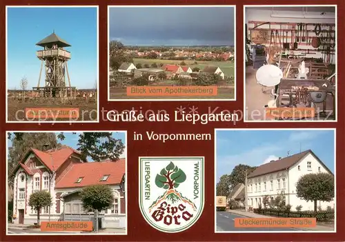 AK / Ansichtskarte Liepgarten Aussichtsturm Blick vom Apothekerberg Heimatstube Amtsgebaeude Ueckermuender Strasse Liepgarten