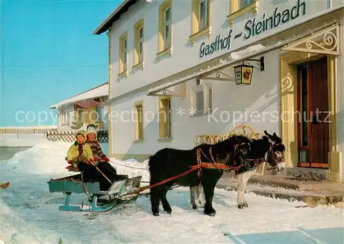 AK / Ansichtskarte Steinbach_Marktleugast Kinderparadies Gasthof Steinbach Schlittenfahrten Steinbach_Marktleugast