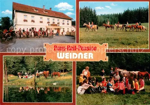 AK / Ansichtskarte Steinbach_Marktleugast Pony Reit Pension Weidner Teilansichten Steinbach_Marktleugast