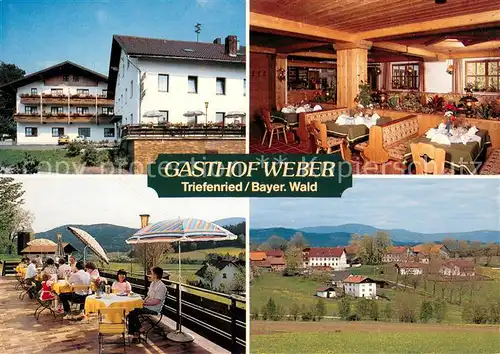 AK / Ansichtskarte Triefenried_Niederbayern Gasthof Weber Gaststube Terrasse Panorama Triefenried Niederbayern