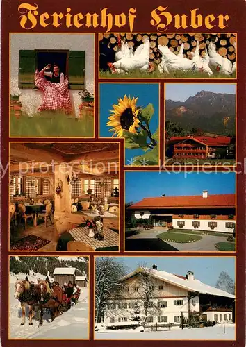 AK / Ansichtskarte Brunnen_Schwangau Ferienhof Huber Gaststube Pferdeschlitten Details Brunnen Schwangau