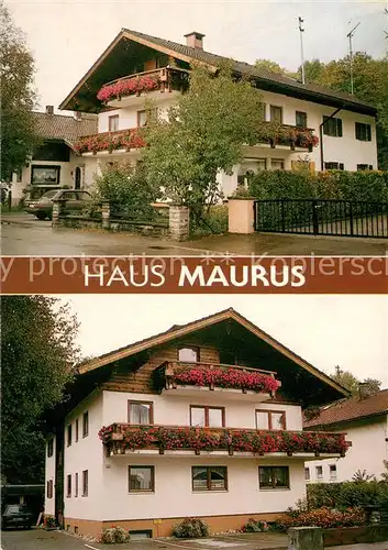 AK / Ansichtskarte Sonthofen_Oberallgaeu Gaestehaus Pension Haus Maurus Sonthofen Oberallgaeu