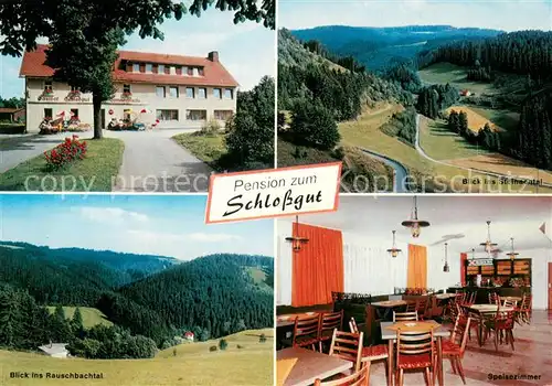 AK / Ansichtskarte Schlopp Gasthaus Pension zum Schlossgut Speisezimmer Landschaftspanorama Rauschbachtal Steinachtal Frankenwald Schlopp
