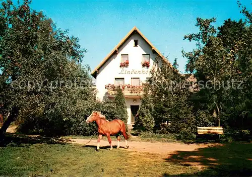 AK / Ansichtskarte Braunetsrieth Restaurant Pension Lindenhof  Braunetsrieth